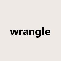 wrangle是什么意思