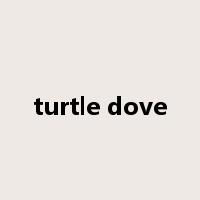 turtle dove是什么意思