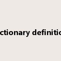 dictionary definition是什么意思
