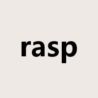 rasp是什么意思