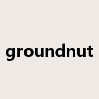groundnut是什么意思