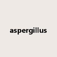 aspergillus是什么意思