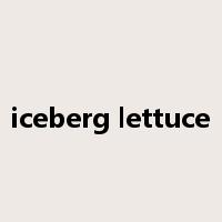 iceberg lettuce是什么意思