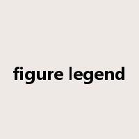 figure legend是什么意思
