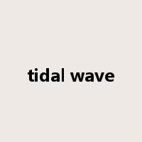 tidal wave是什么意思