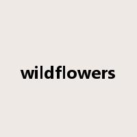wildflowers是什么意思