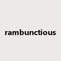 rambunctious是什么意思