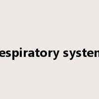 respiratory system是什么意思