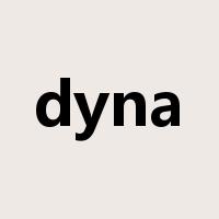 dyna是什么意思