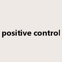 positive control是什么意思
