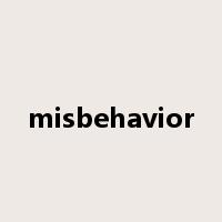misbehavior是什么意思