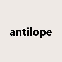 antilope是什么意思