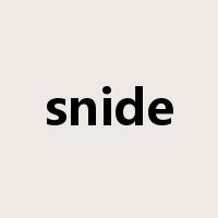 snide是什么意思