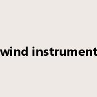 wind instrument是什么意思