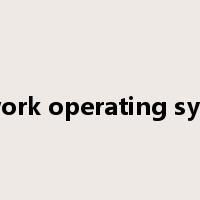 network operating system是什么意思