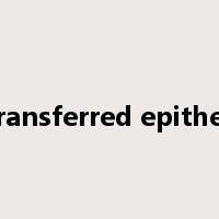 transferred epithet是什么意思