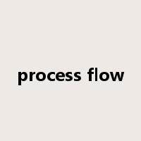 process flow是什么意思