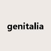 genitalia是什么意思