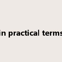 in practical terms是什么意思