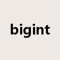 bigint是什么意思