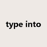 type into是什么意思