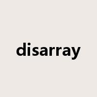 disarray是什么意思