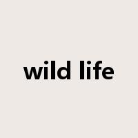 wild life是什么意思