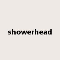 showerhead是什么意思