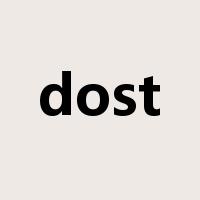 dost是什么意思
