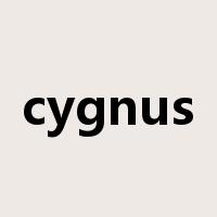 cygnus是什么意思