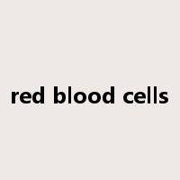 red blood cells是什么意思