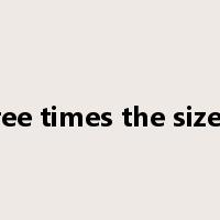 three times the size of是什么意思