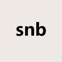 snb是什么意思