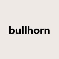 bullhorn是什么意思