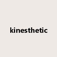kinesthetic是什么意思
