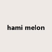 hami melon是什么意思