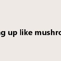spring up like mushrooms是什么意思