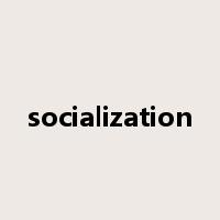 socialization是什么意思