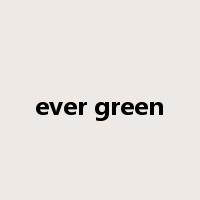ever green是什么意思