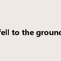 fell to the ground是什么意思