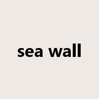 sea wall是什么意思