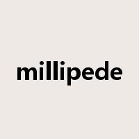 millipede是什么意思