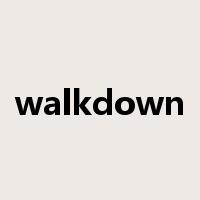 walkdown是什么意思