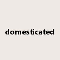 domesticated是什么意思