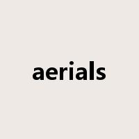 aerials是什么意思