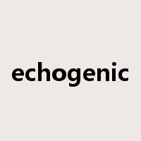echogenic是什么意思