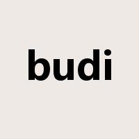 budi是什么意思