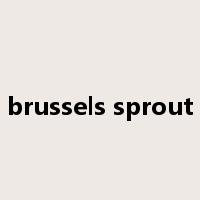 brussels sprout是什么意思