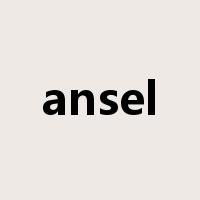 ansel是什么意思