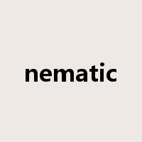 nematic是什么意思